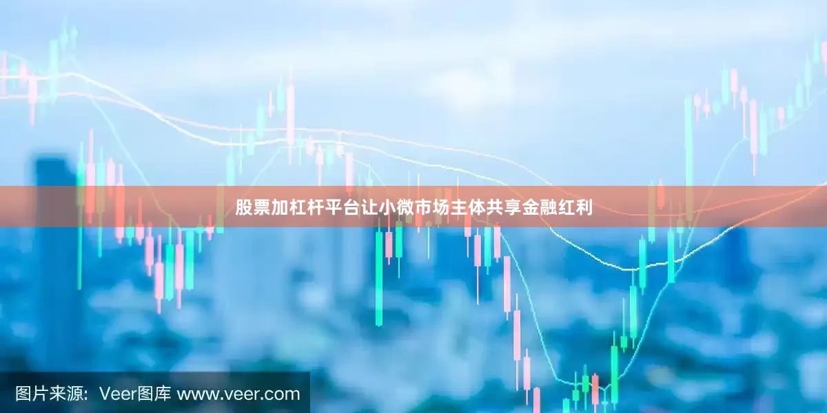 股票加杠杆平台让小微市场主体共享金融红利