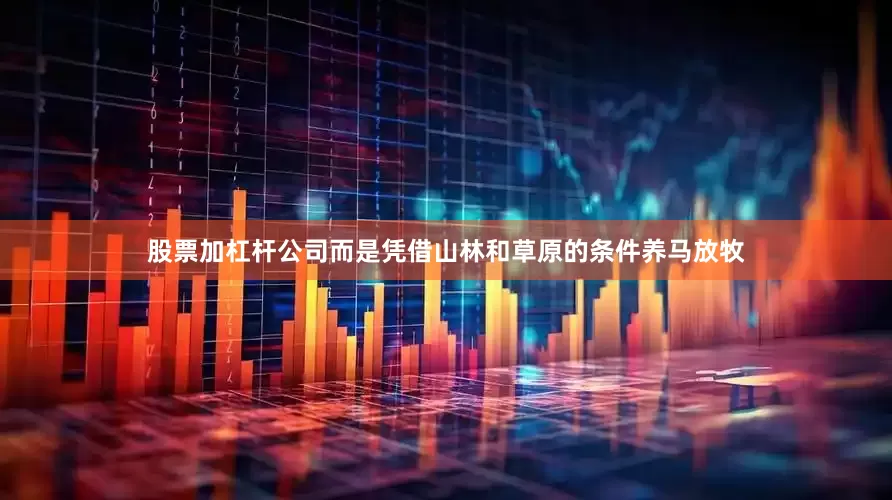 股票加杠杆公司而是凭借山林和草原的条件养马放牧