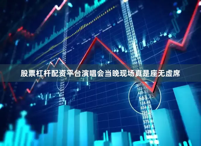 股票杠杆配资平台演唱会当晚现场真是座无虚席